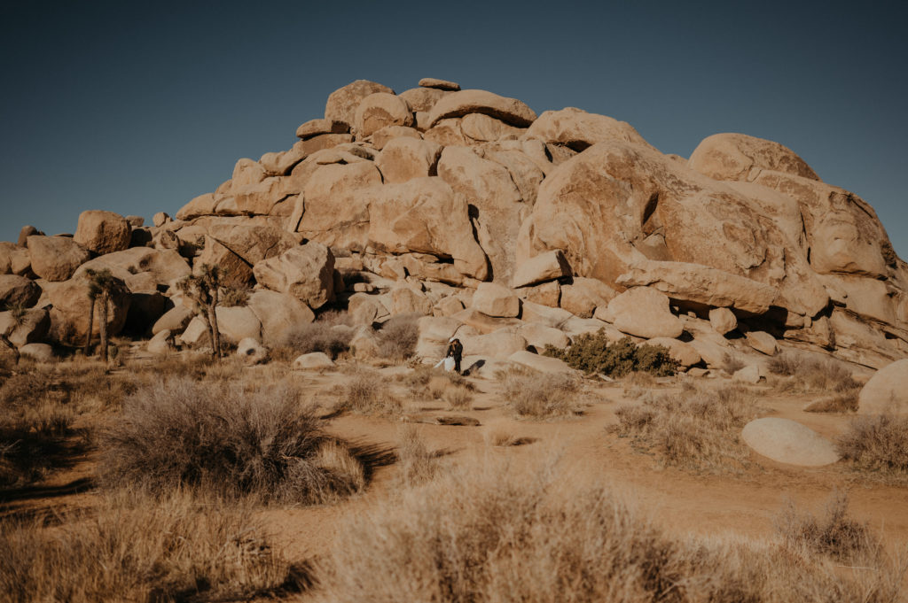 A couple has their wedding ceremony at Cap Rock in Joshua Tree National Park for their Joshua Tree Elopement