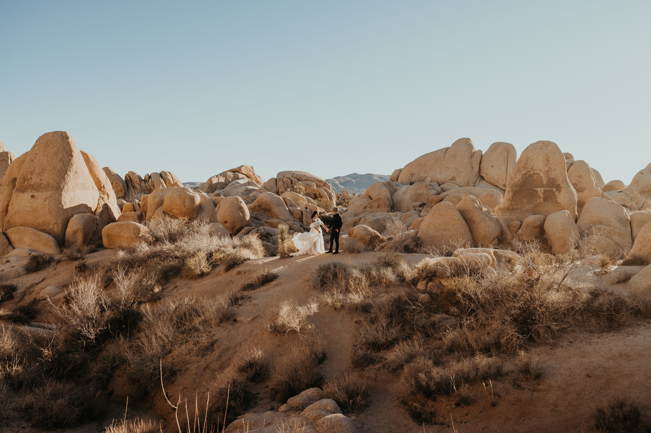 A couple in wedding attire dances in the desert.